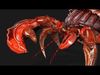 Crab-B3 Low-poly 3D model_1