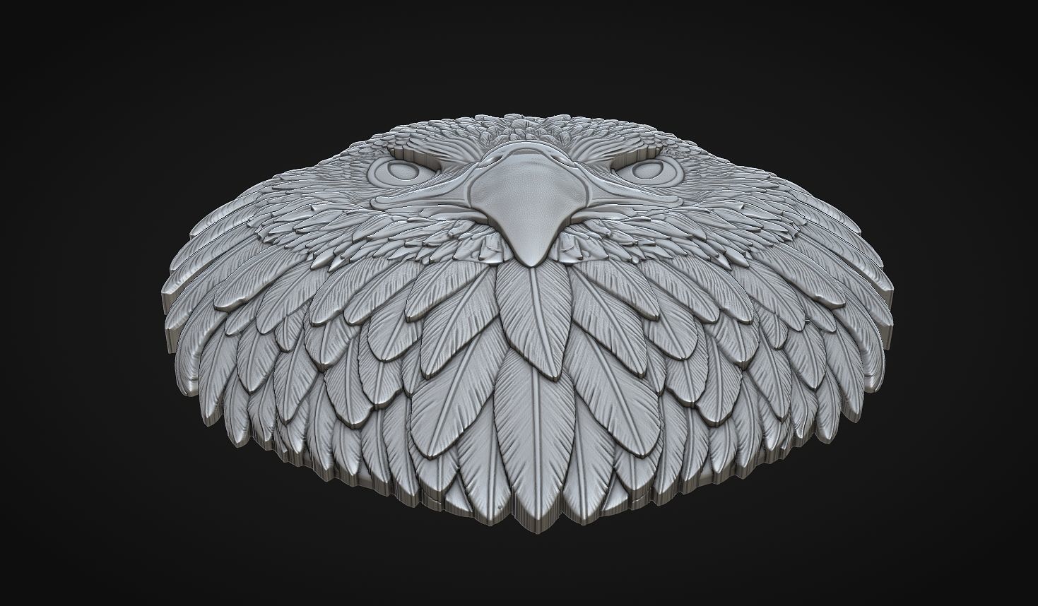 Eagle Head Bas Relief-8mm 3D print model_3