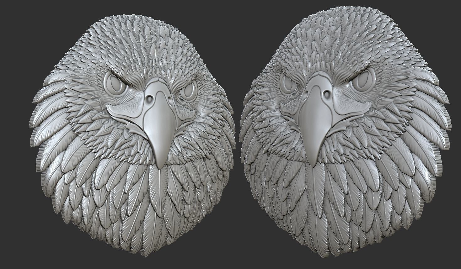 Eagle Head Bas Relief-8mm 3D print model_4