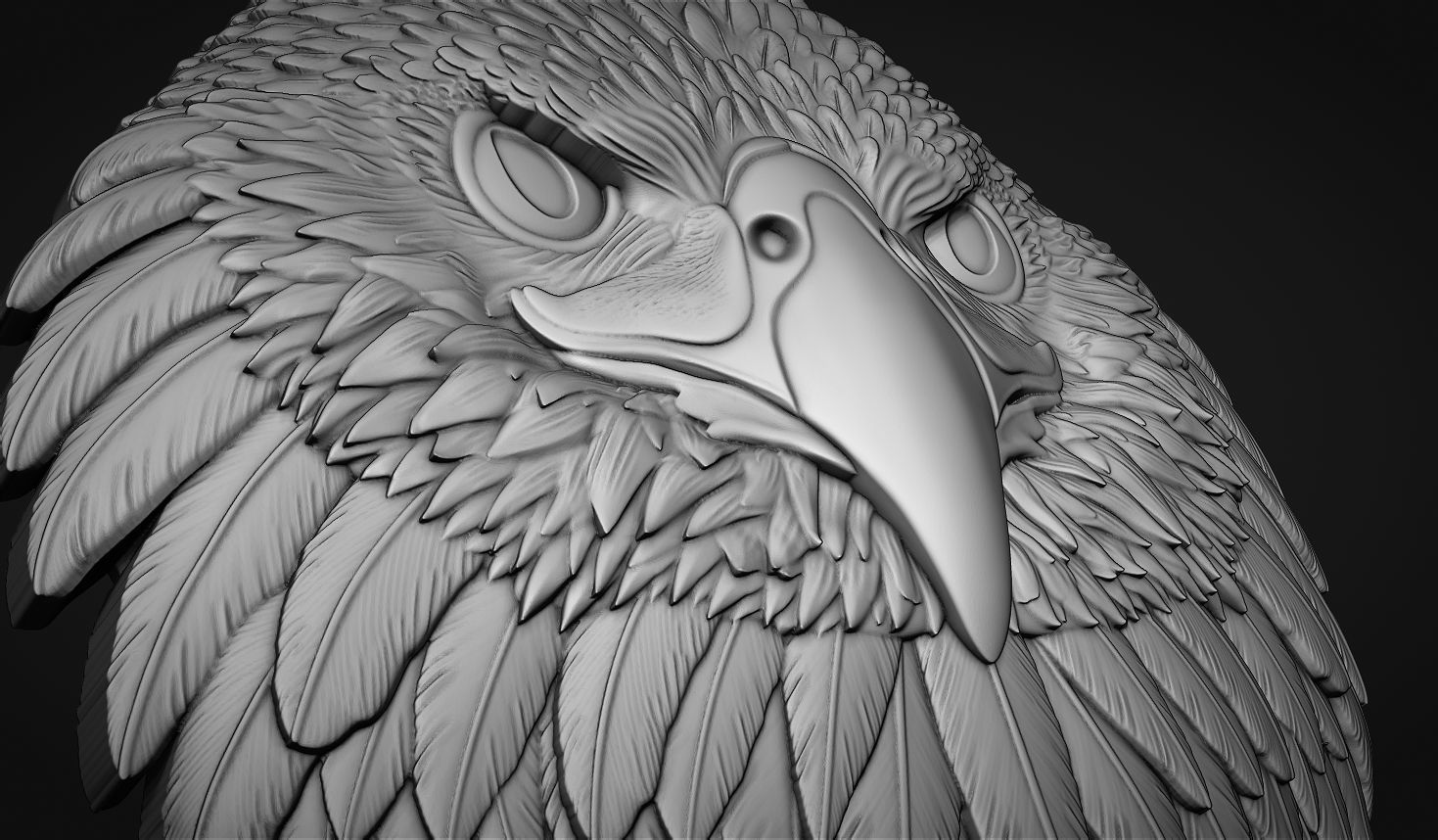 Eagle Head Bas Relief-8mm 3D print model_7
