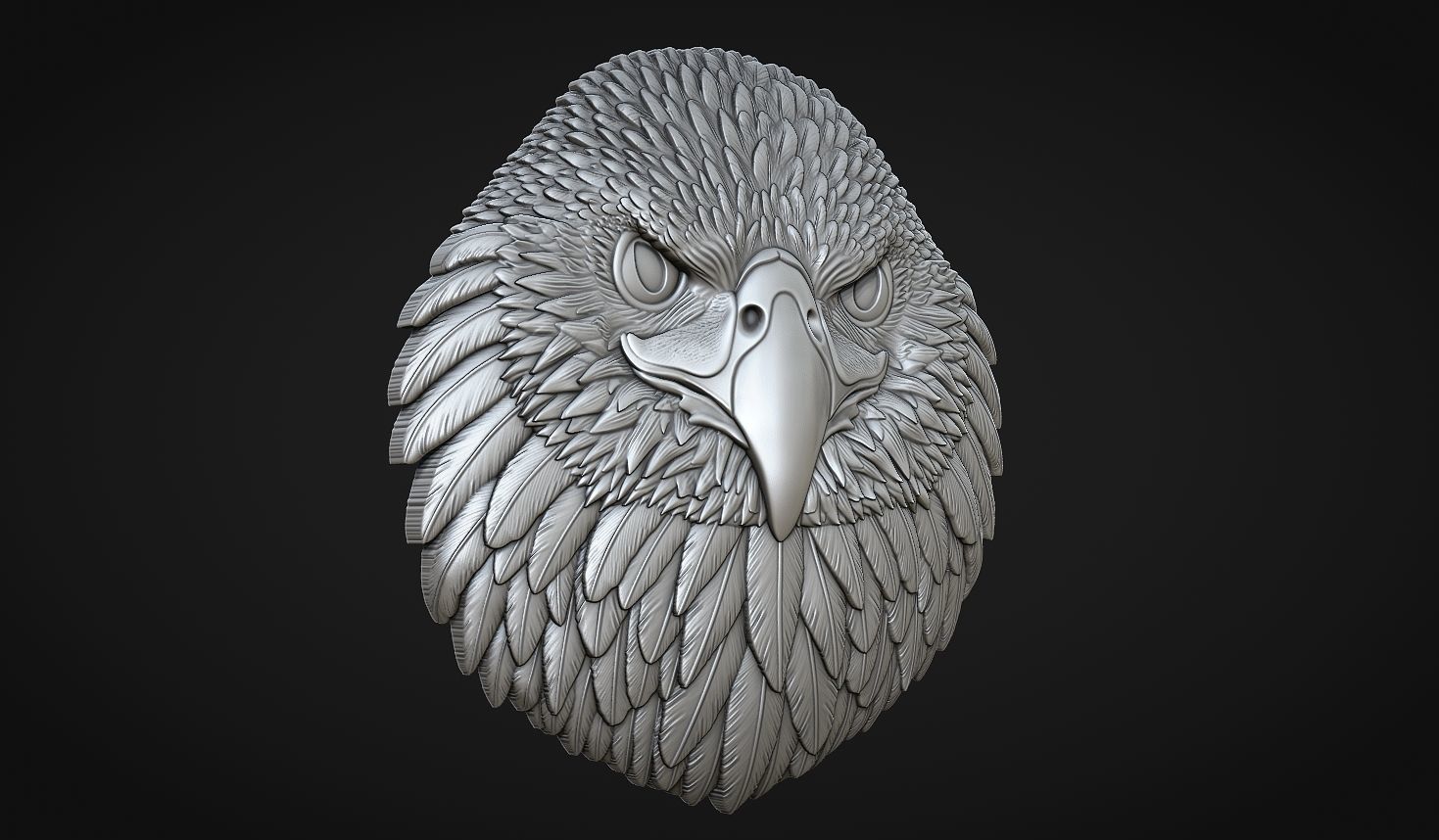 Eagle Head Bas Relief-8mm 3D print model_2