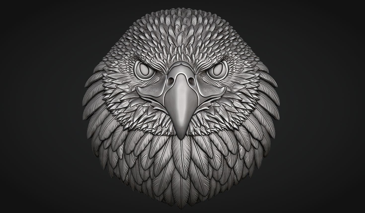 Eagle Head Bas Relief-8mm 3D print model_9
