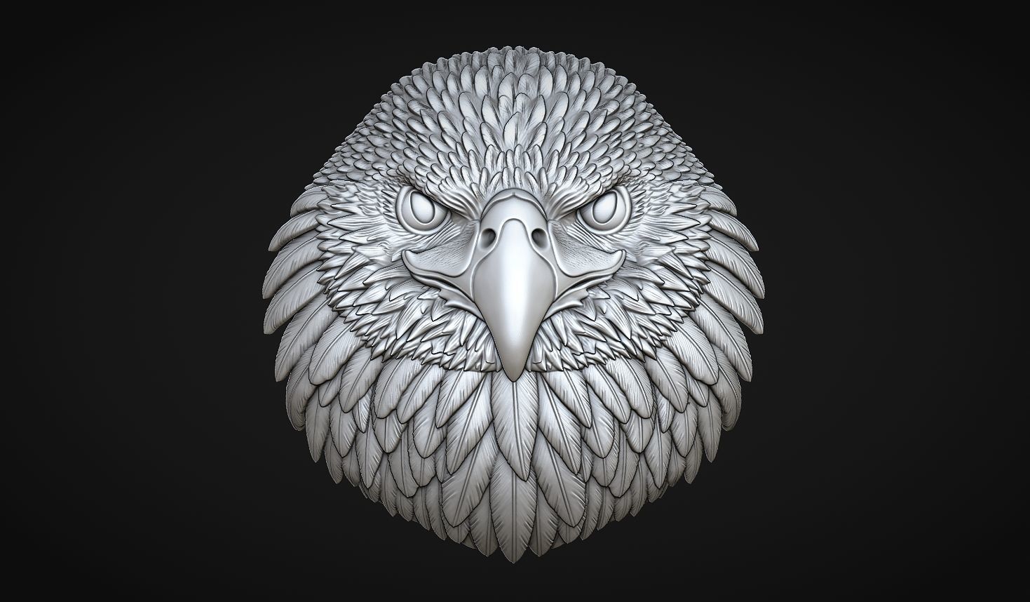 Eagle Head Bas Relief-8mm 3D print model_1