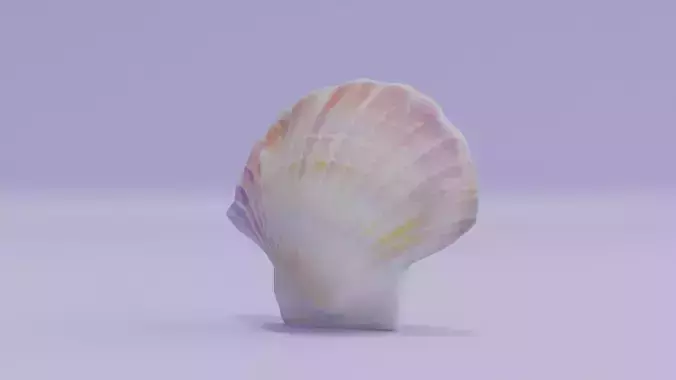 Shell Watercolour Seashell Low-poly 3D model
