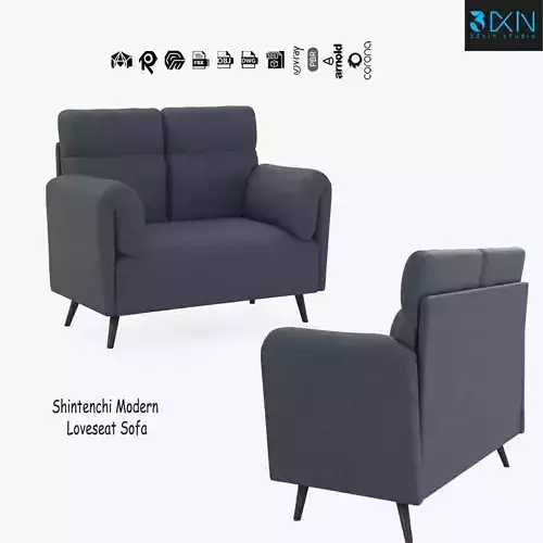 Shintenchi Modern Loveseat Sofa
