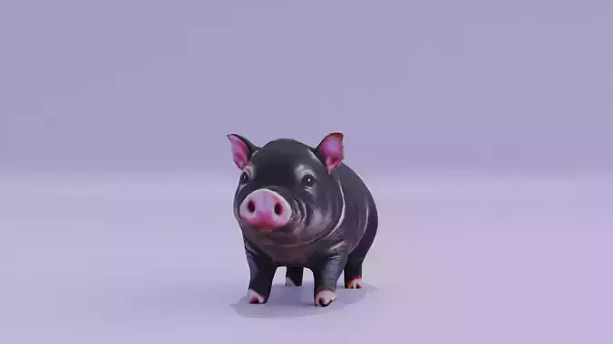 Baby Pig Cute Pot Belly Boar Low-poly 3D model