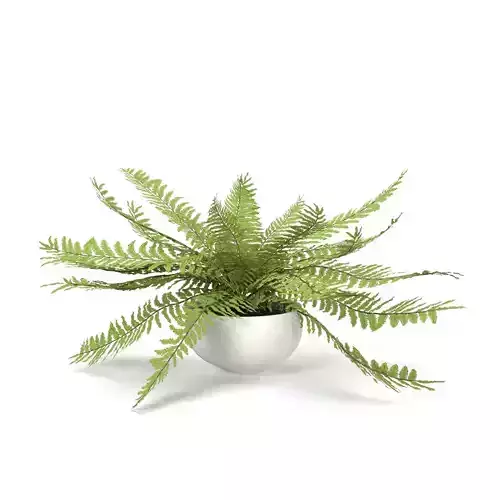 Faux Potted Fern Plant 10in  PBR