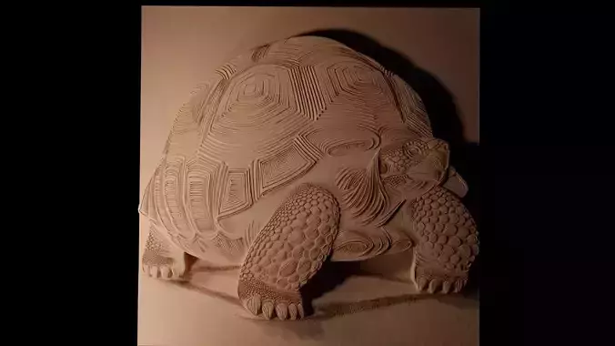 Aldabra Giant Tortoise CNC 3d Print High Relief Sand Casting