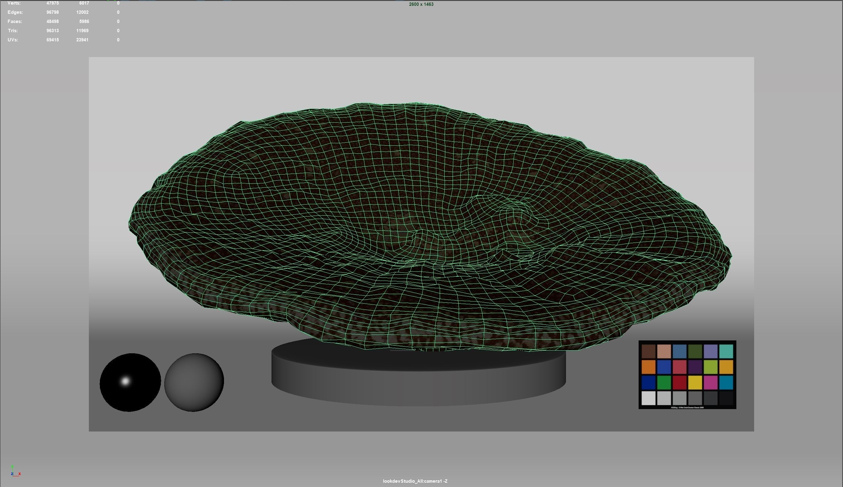 HQ Assets-Coral-Acropora-HyacinthusAA Arnold 3D model_15