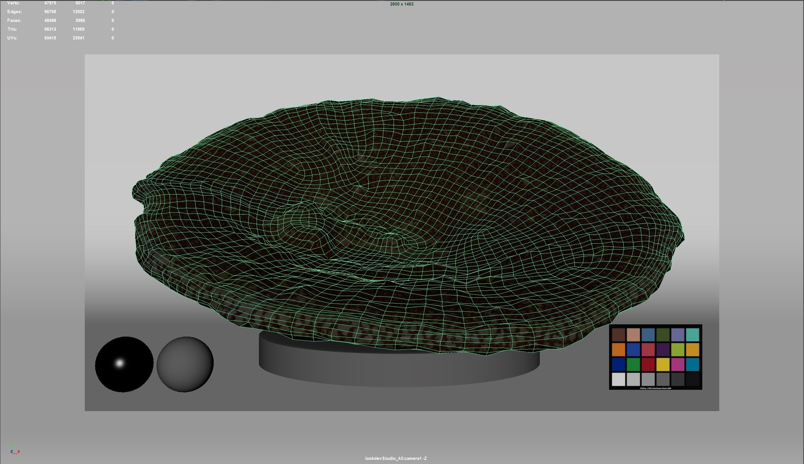 HQ Assets-Coral-Acropora-HyacinthusAA Arnold 3D model_10