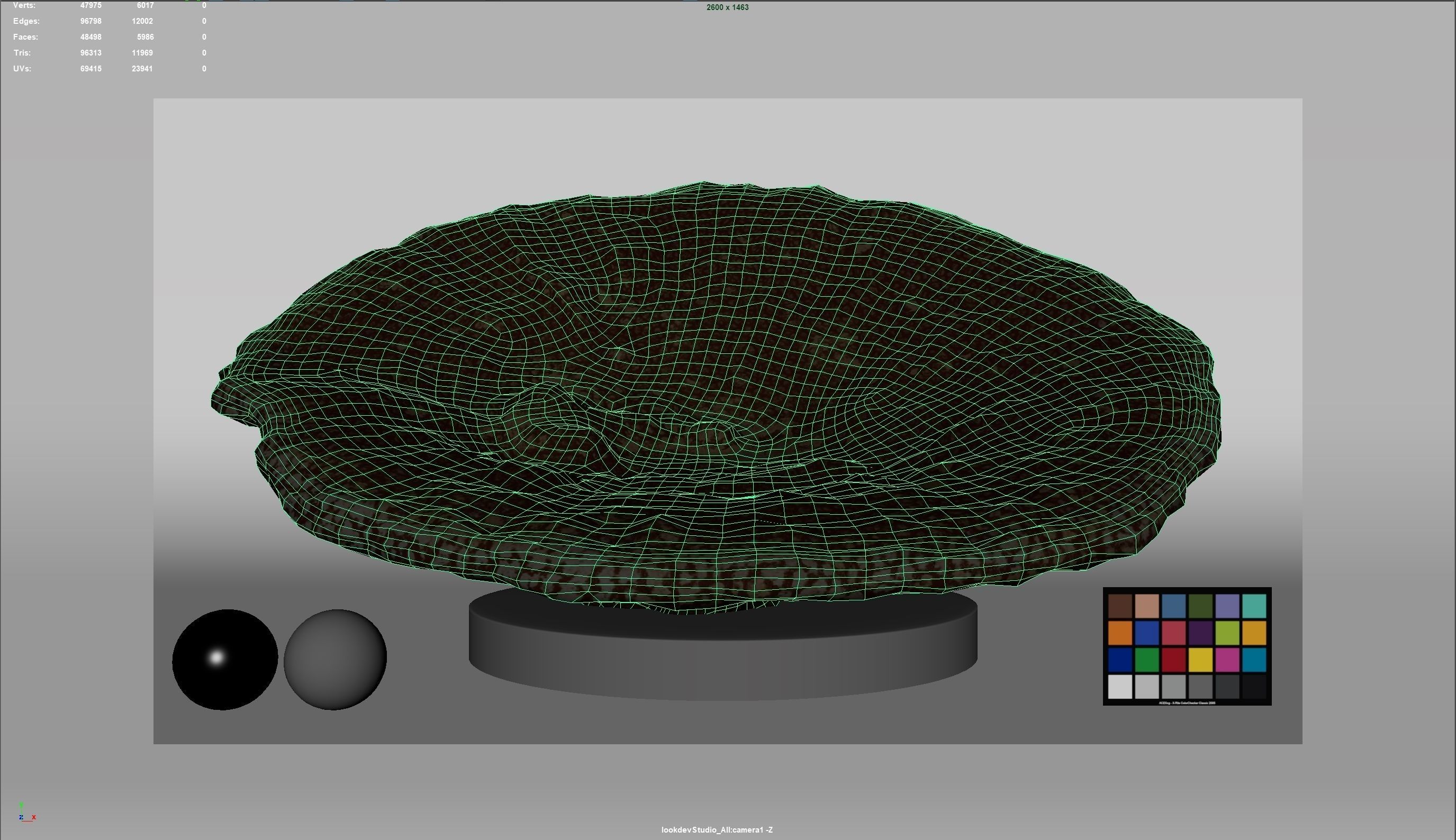 HQ Assets-Coral-Acropora-HyacinthusAA Arnold 3D model_11