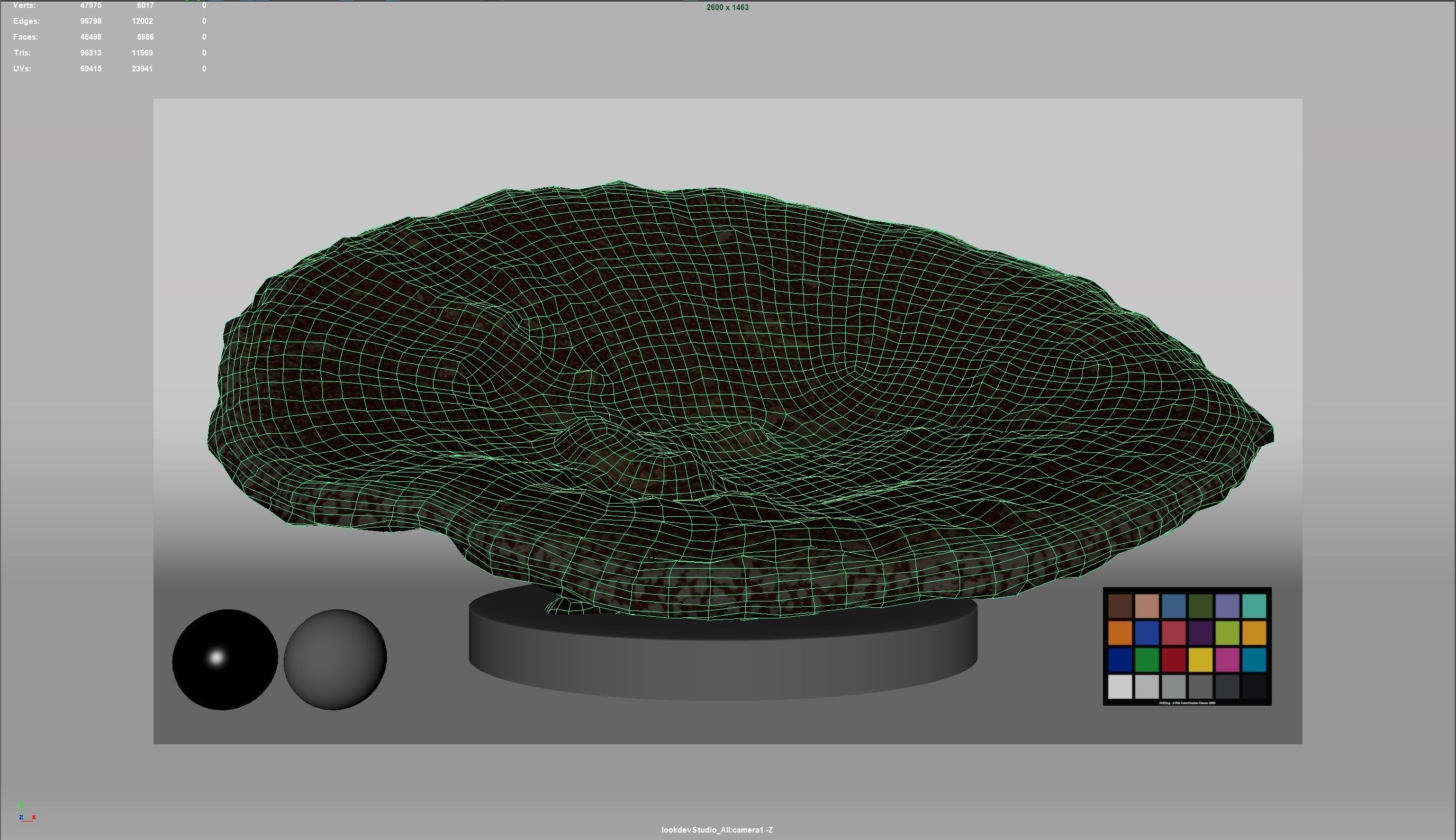 HQ Assets-Coral-Acropora-HyacinthusAA Arnold 3D model_12