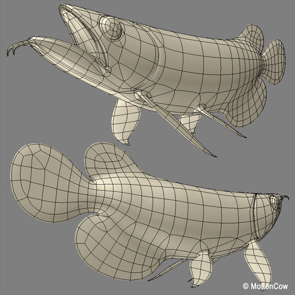 Arowana 3D model_9