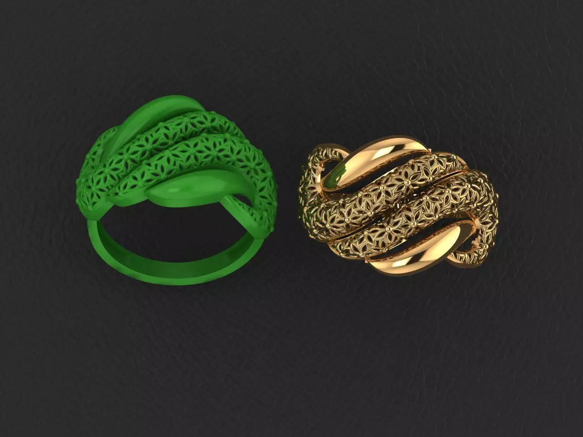 fantasy turkish rings crossing 3D print model