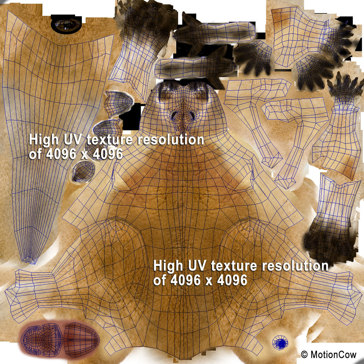 Kangaroo 3D model_18