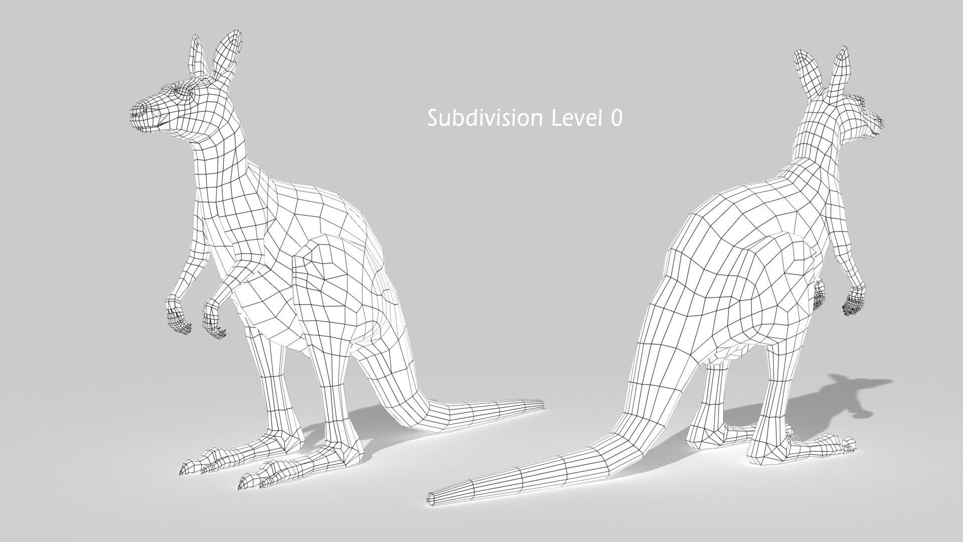 Kangaroo 3D model_15