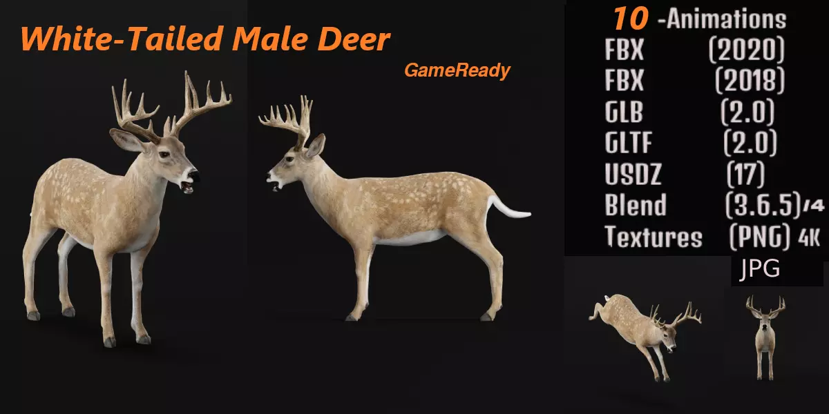 Virginia Deer Low-poly 3D model