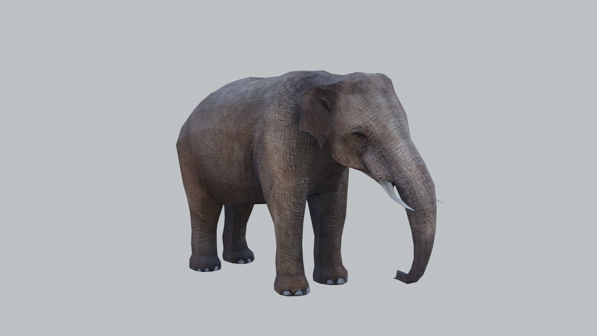 lowpoly elephand 3D model_2