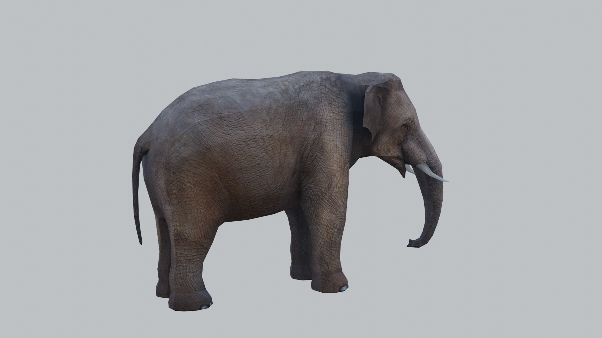 lowpoly elephand 3D model_3