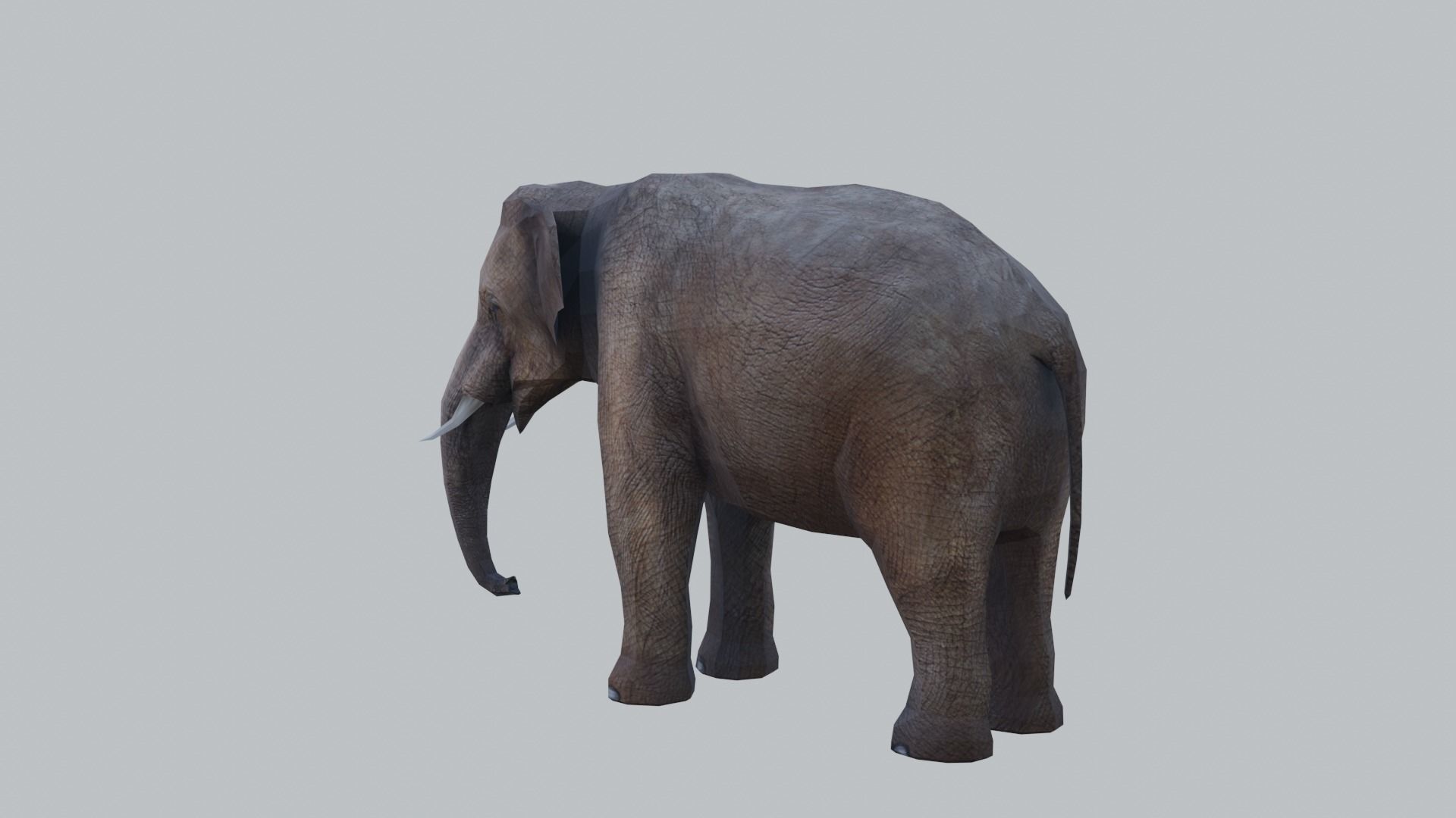 lowpoly elephand 3D model_4