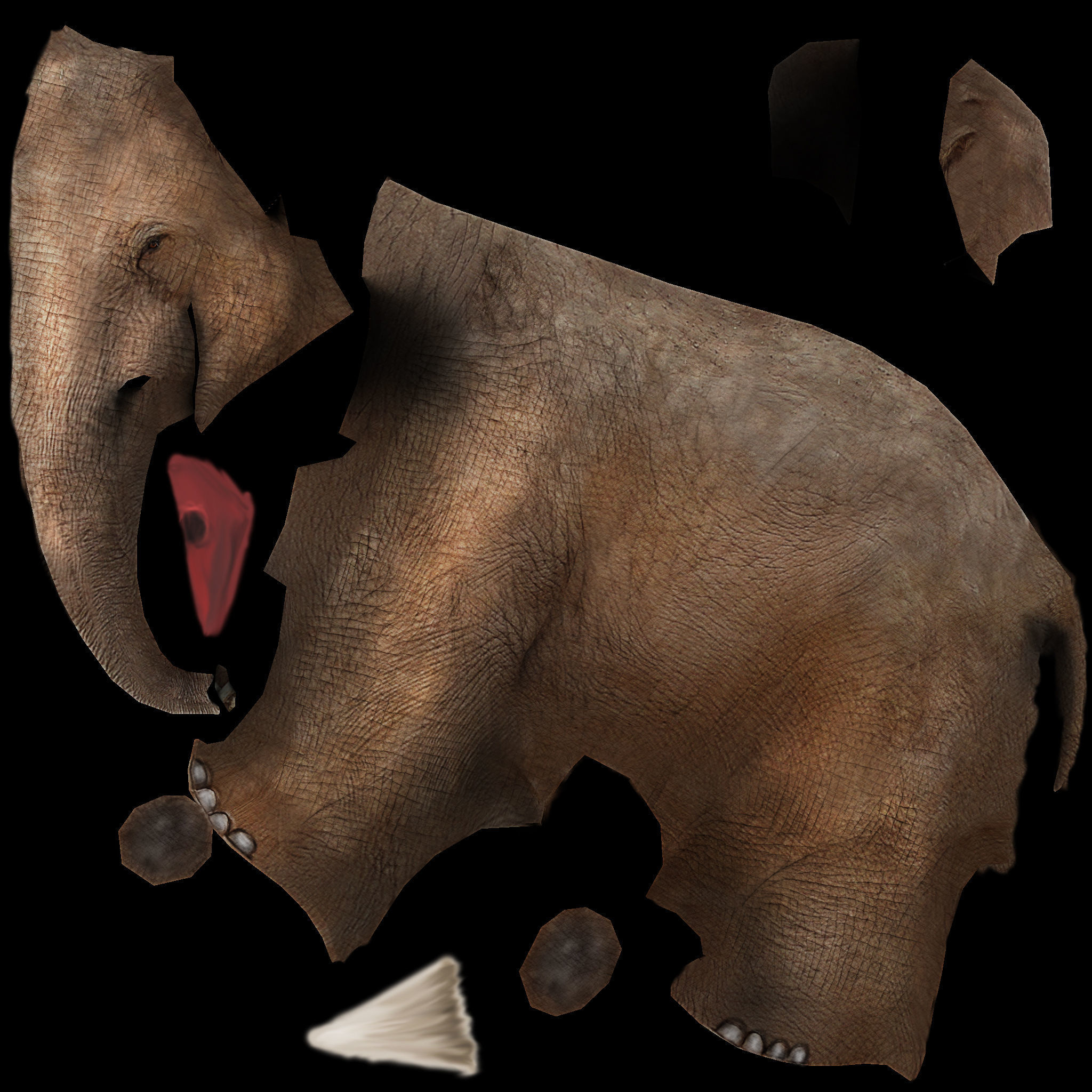 lowpoly elephand 3D model_5