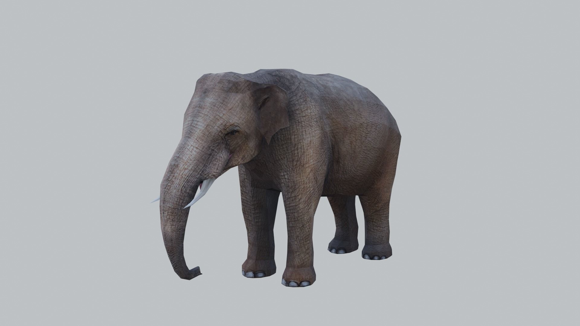 lowpoly elephand 3D model_1
