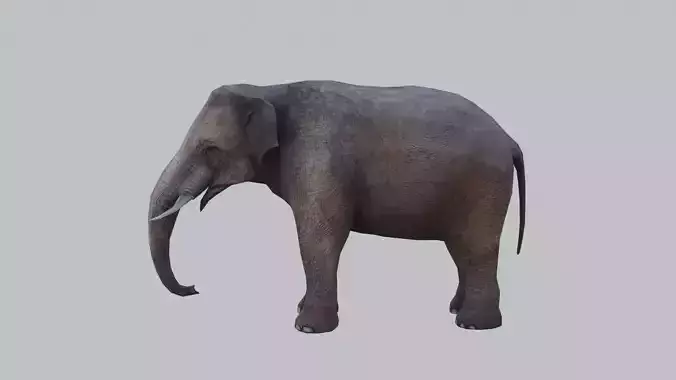lowpoly elephand