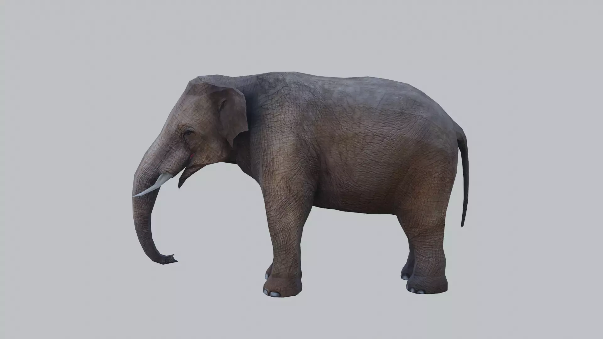 lowpoly elephand 3D model_0