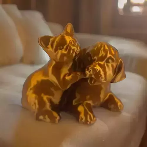 Golden retriever and cat friend