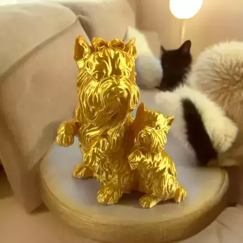 YORKSHIRE MOM AND SON