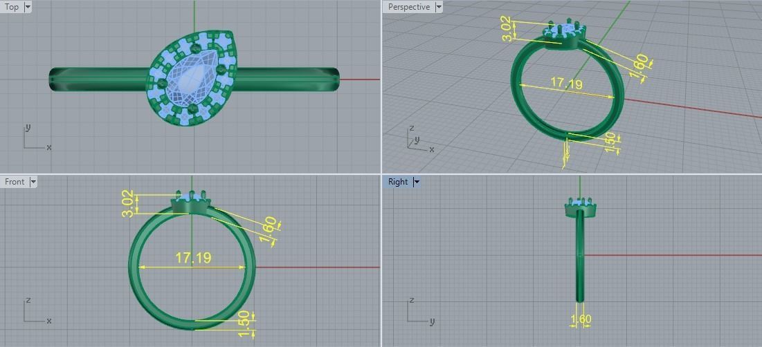 Ring Pear Model 5711 3D print model_5