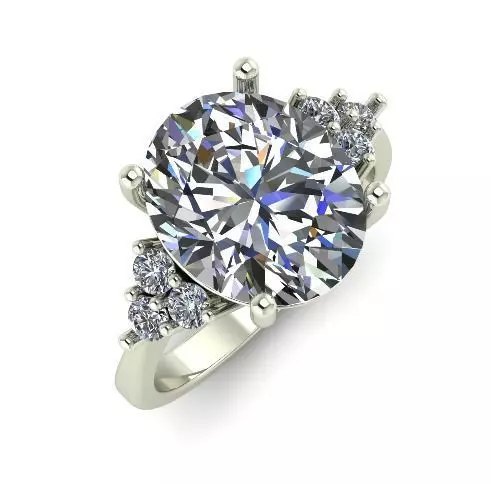 Ring Model 5700 3D print model_0