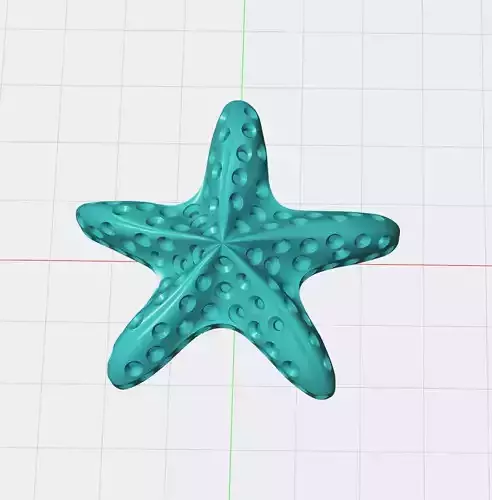 starfish  3D model