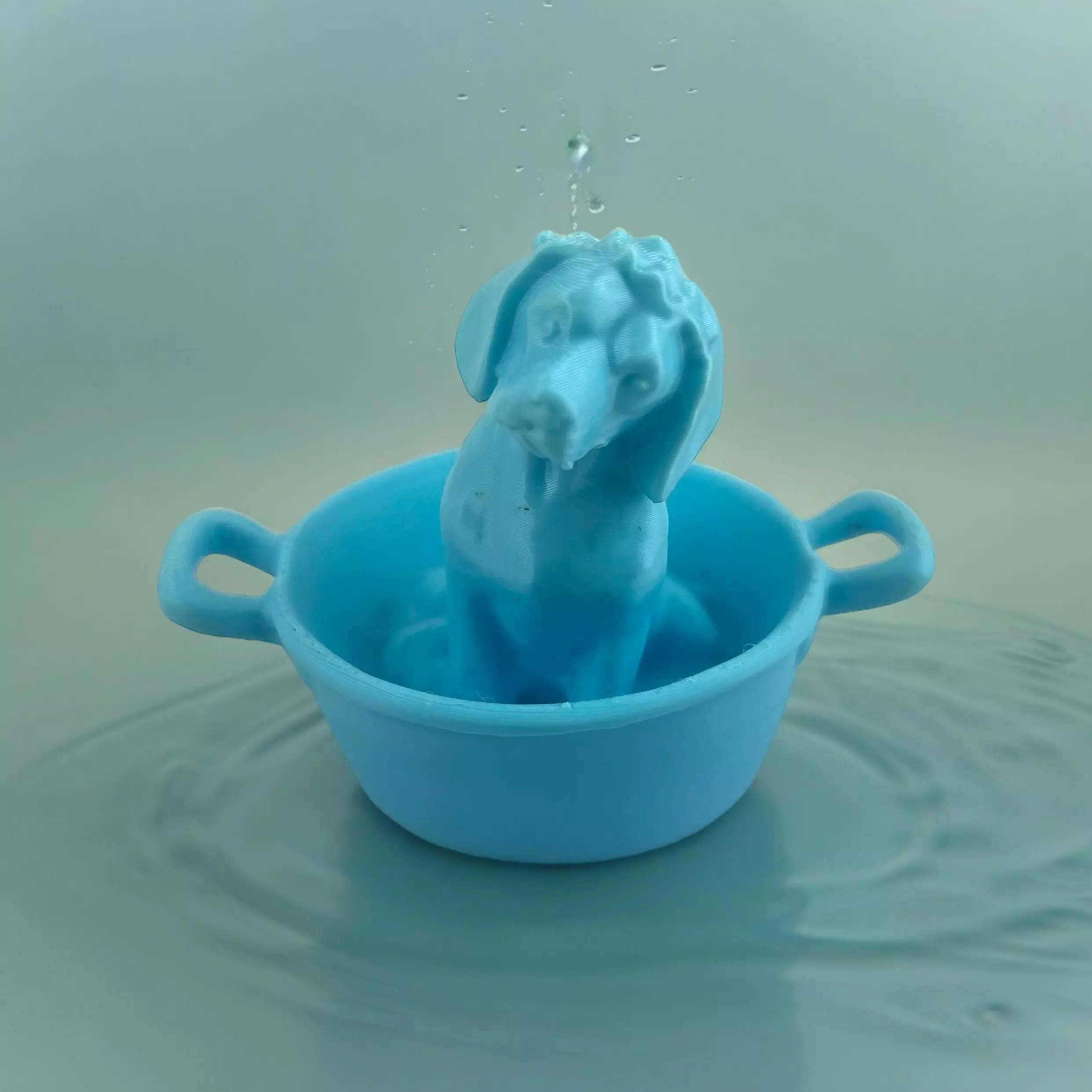DOG TAKES A BATH 3D print model