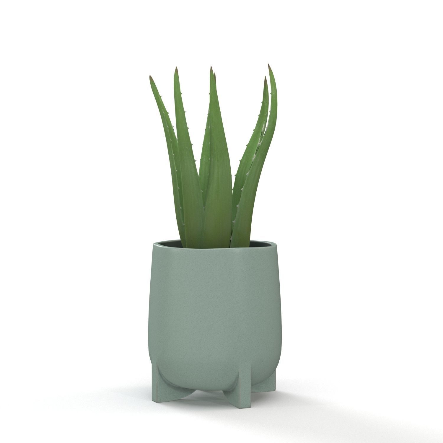 Stoneware Footed Aloe vera Planter  PBR 3D model_1