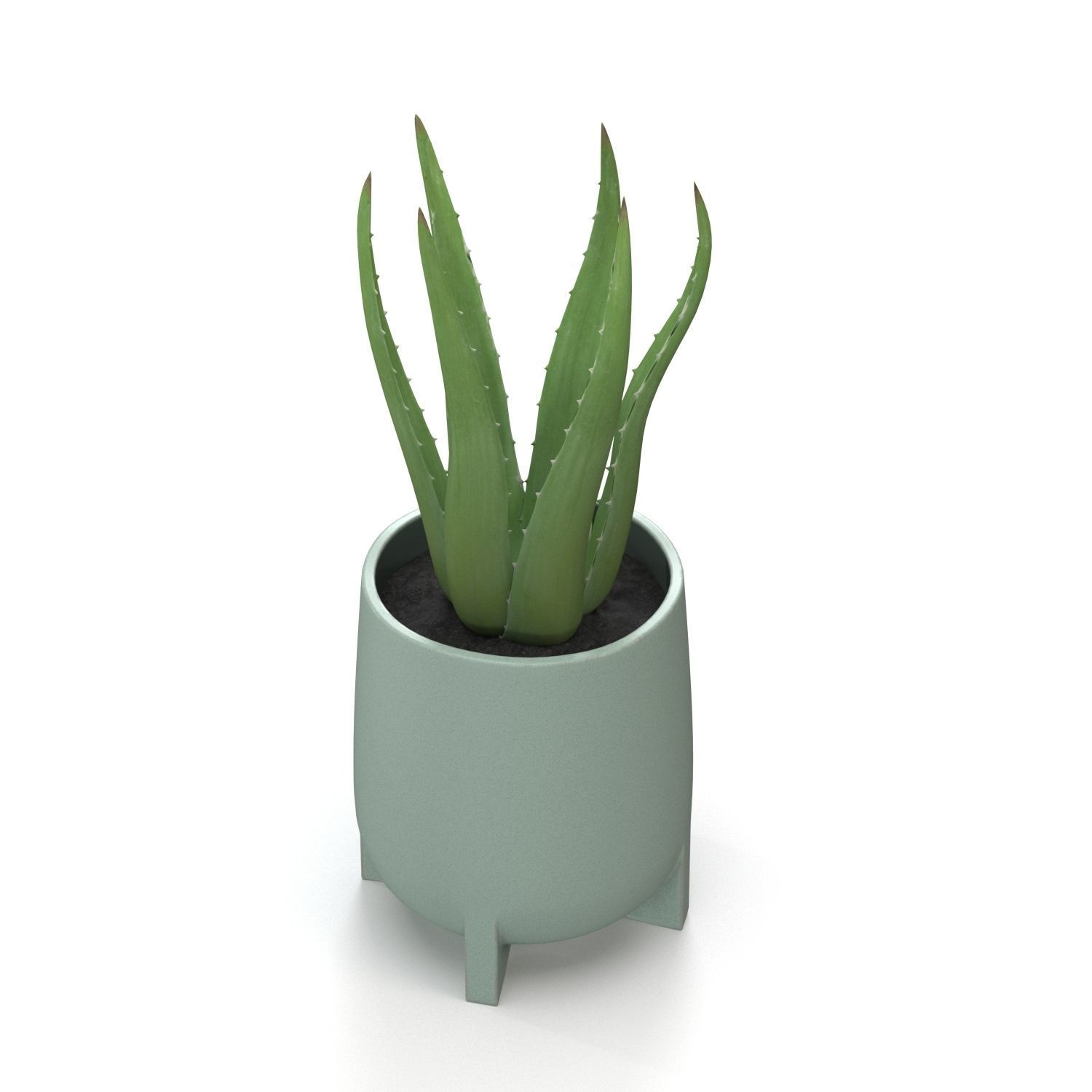 Stoneware Footed Aloe vera Planter  PBR 3D model_4