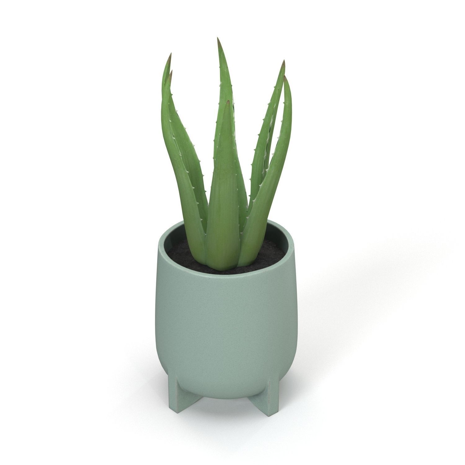 Stoneware Footed Aloe vera Planter  PBR 3D model_2