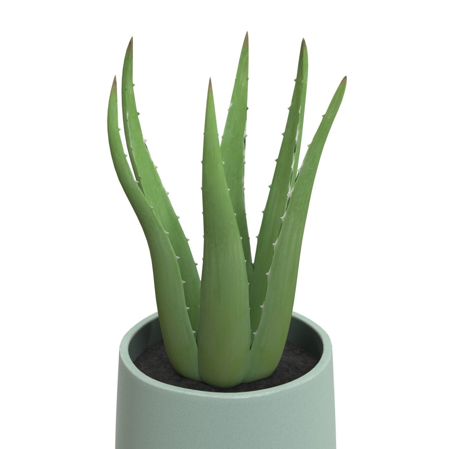 Stoneware Footed Aloe vera Planter  PBR 3D model_3