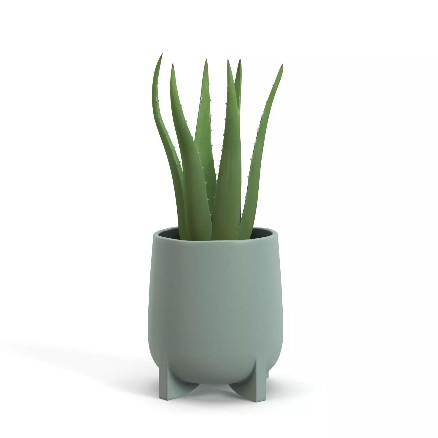Stoneware Footed Aloe vera Planter  PBR 3D model_0