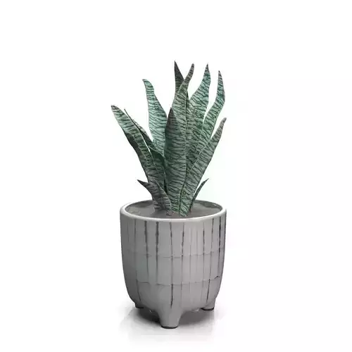 Terracotta Footed Planter with Artificial Plant  PBR