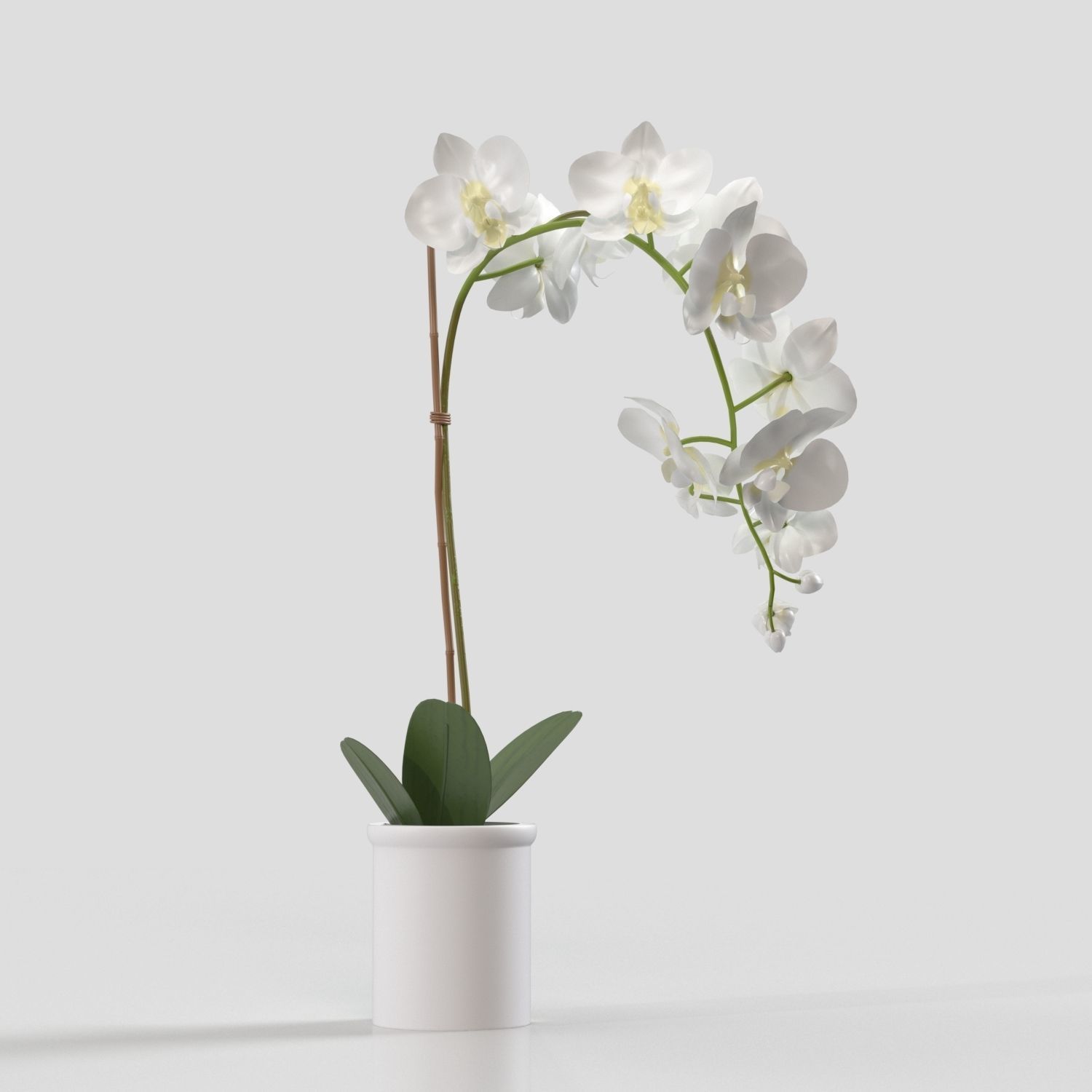 Threshold Small Potted Orchid  PBR 3D model_1