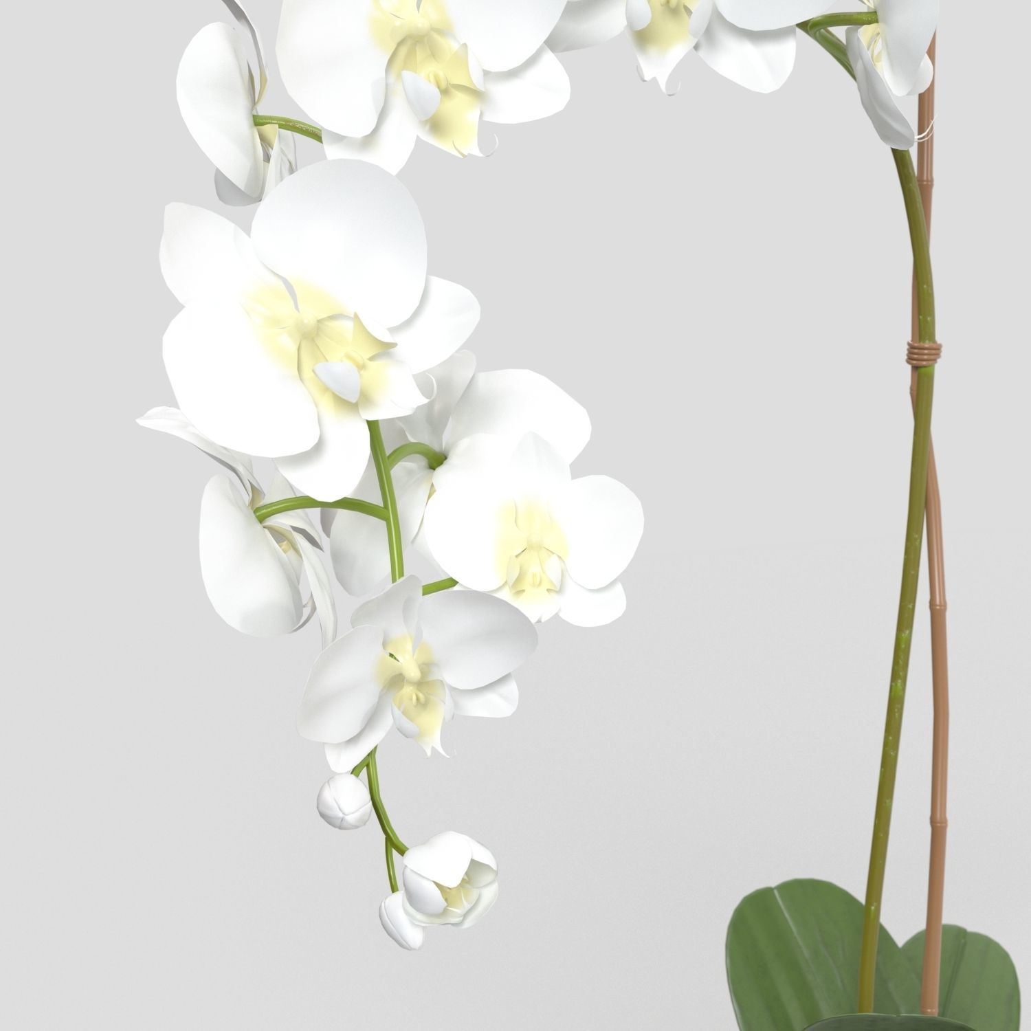 Threshold Small Potted Orchid  PBR 3D model_3
