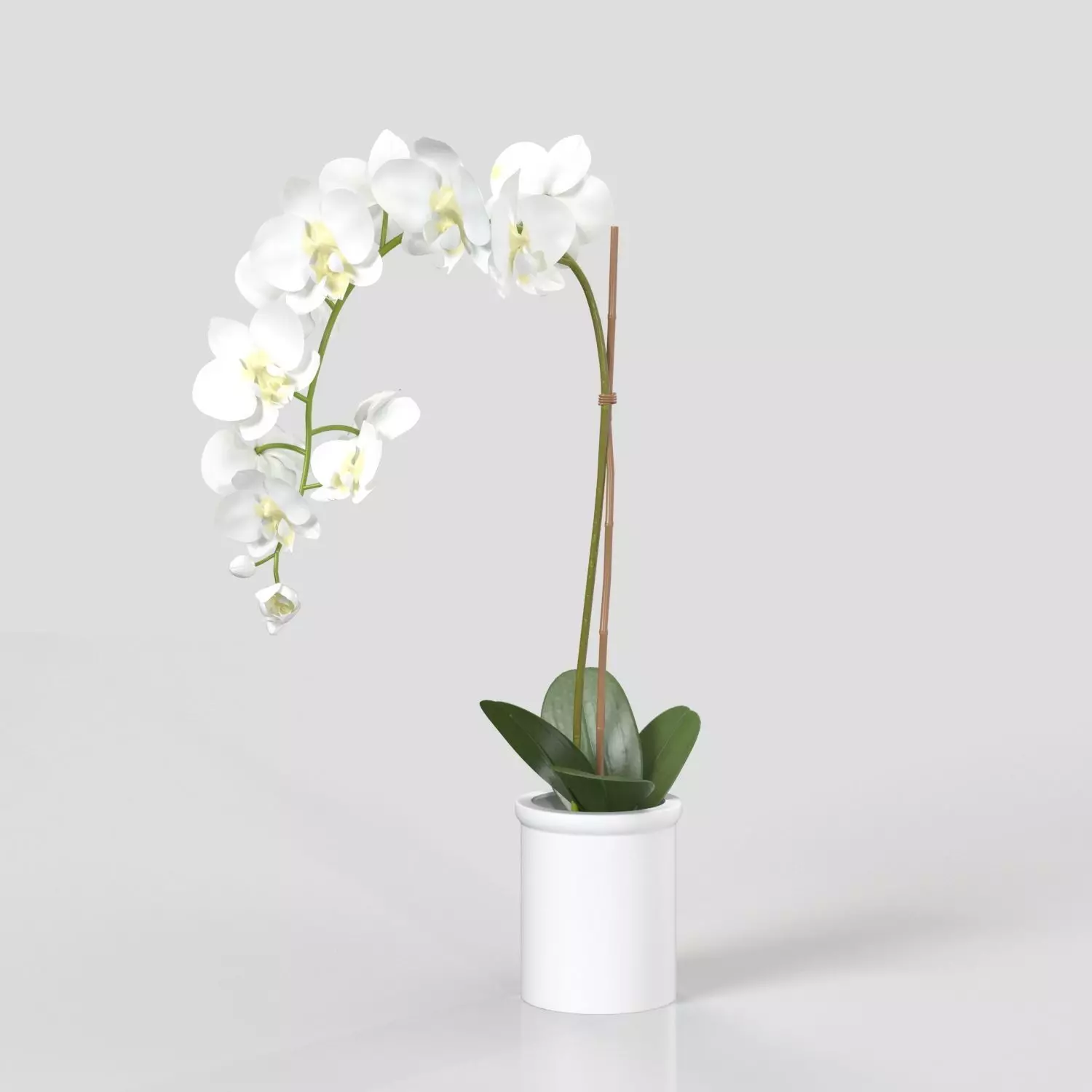 Threshold Small Potted Orchid  PBR 3D model_0