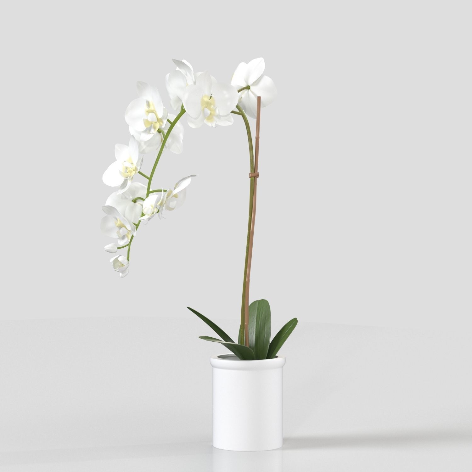 Threshold Small Potted Orchid  PBR 3D model_2