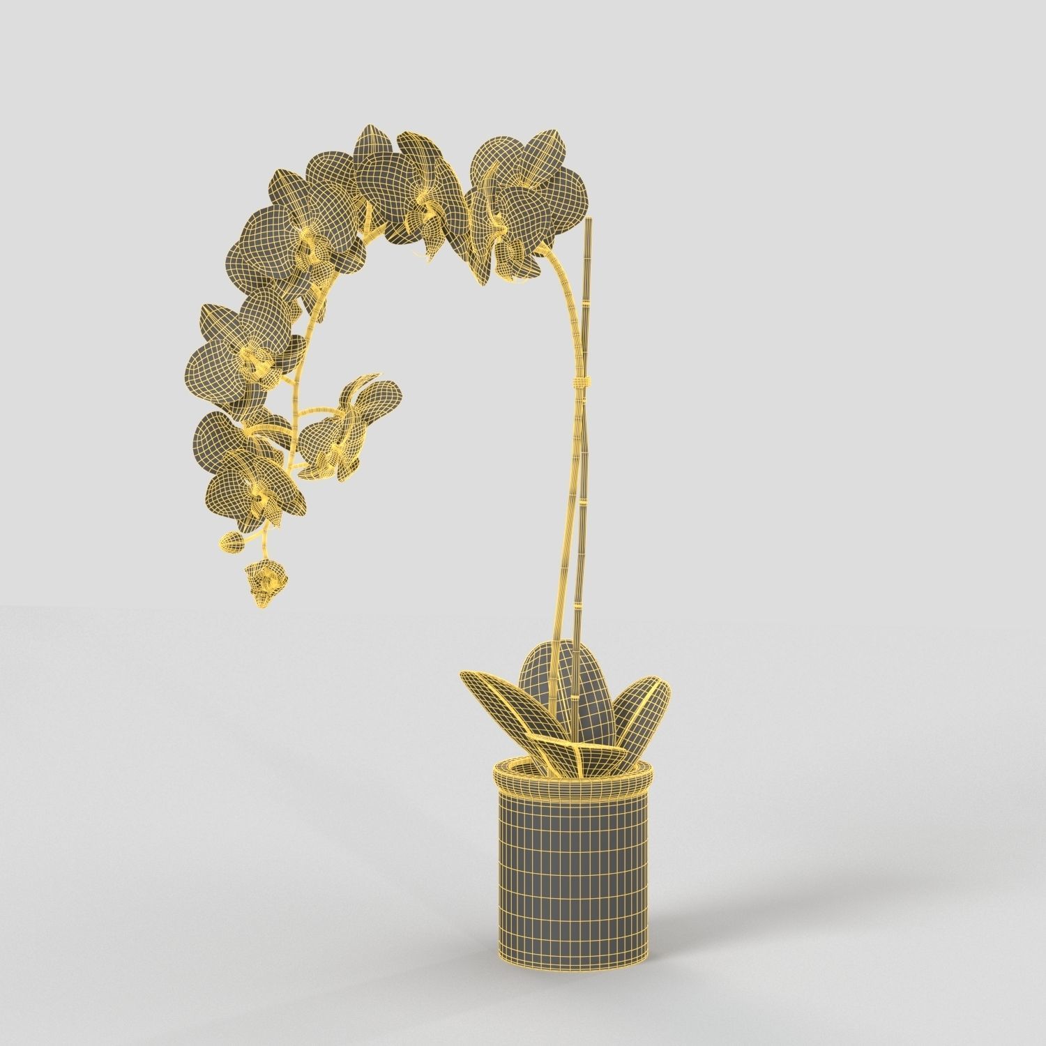 Threshold Small Potted Orchid  PBR 3D model_5