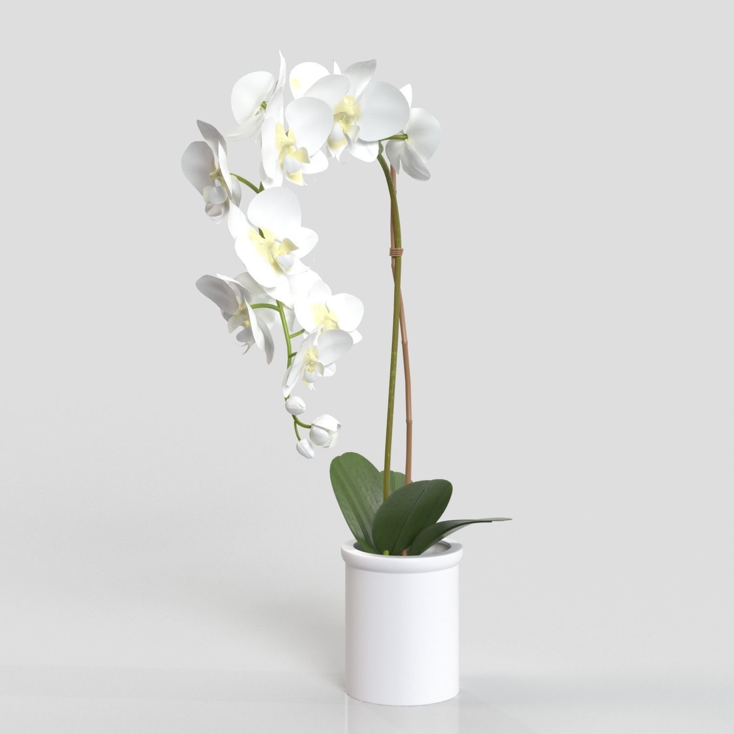 Threshold Small Potted Orchid  PBR 3D model_4