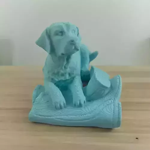 GOLDEN RETRIEVER BOOTS