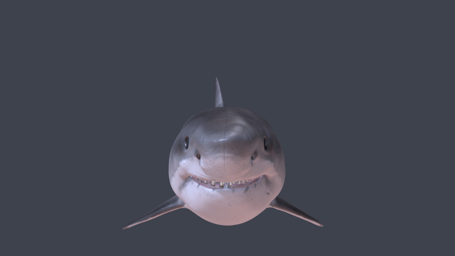Realistic Shark 3D model_1