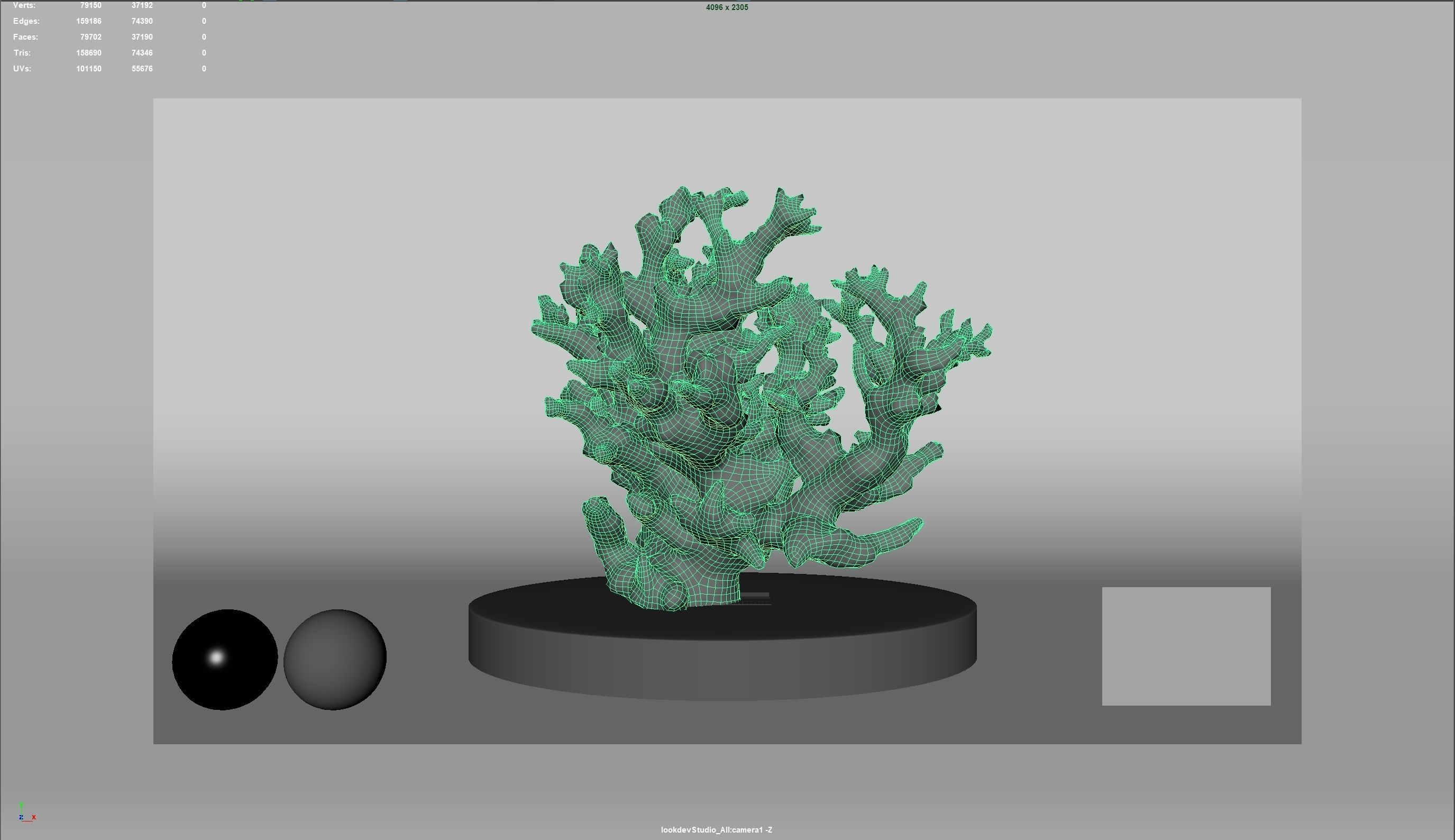 HQ Assets Coral Finger Leather CoralAB Arnold 3D model_7