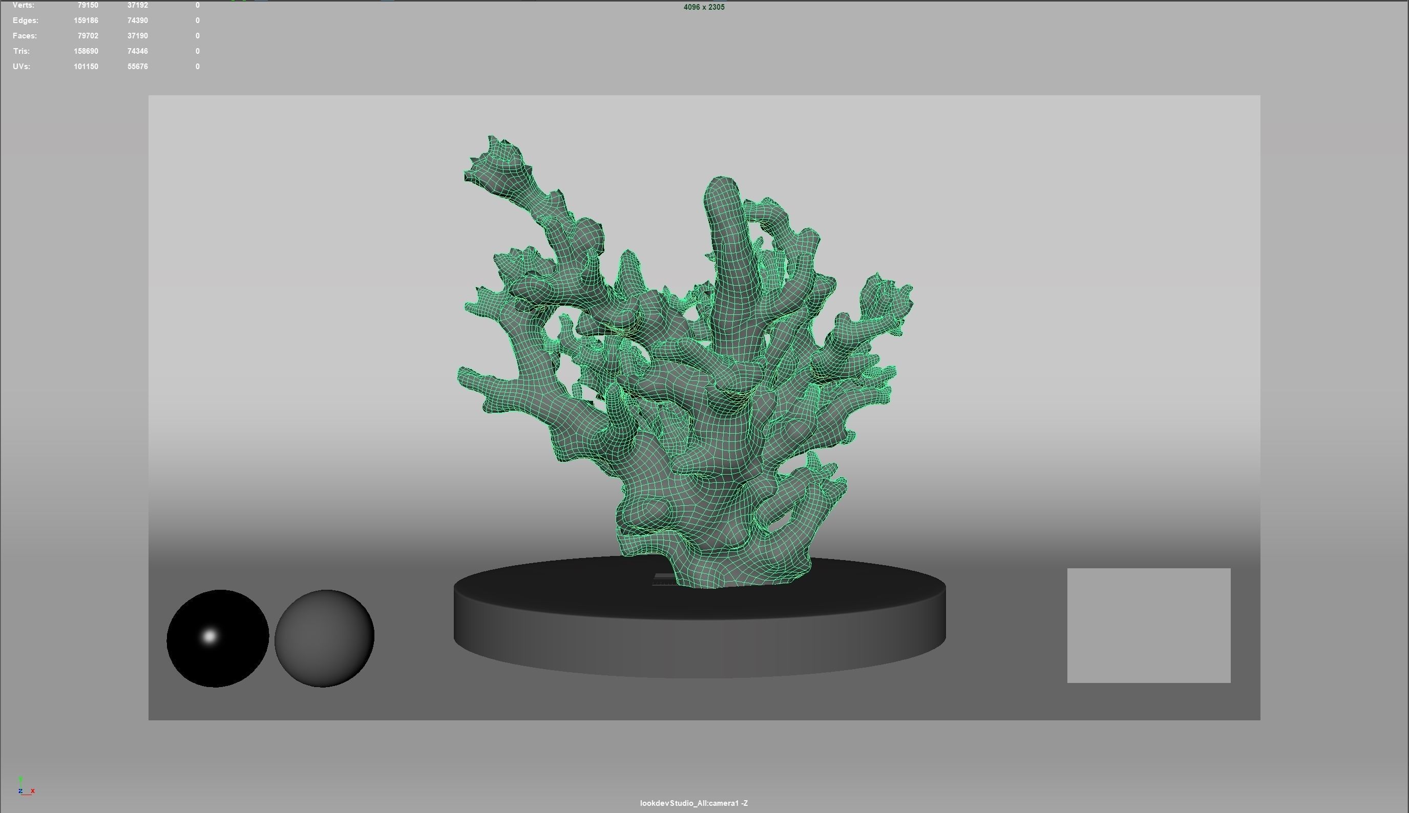 HQ Assets Coral Finger Leather CoralAB Arnold 3D model_2